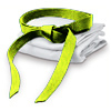 Lean SIX SIGMA Yellow Belt